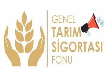 Genel Tarım Sigortası Fonu, düşük zararlarının ödendiğini açıkladı