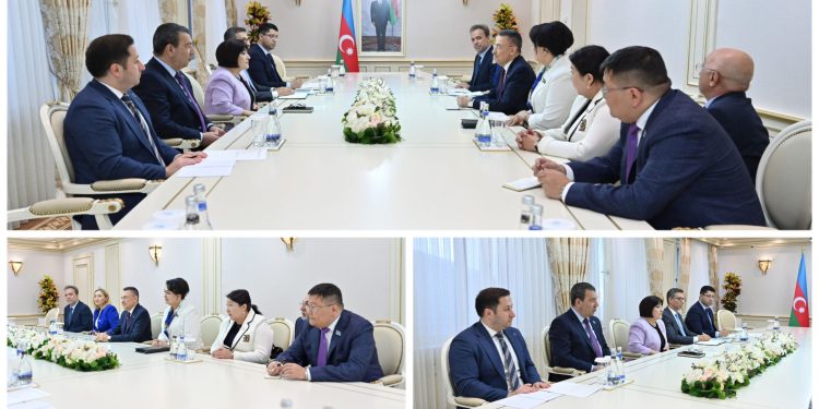 Öztürk, Azeraycan Milli Meclisi Başkanı Gafarova tarafından kabul edildi