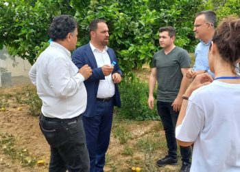 Biyolojik mücadele amacı ile parazitoit böcek salınımına başlandı