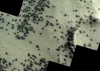 Mars zemininde örümceğe benzeyen madde toplulukları gözlemlendi