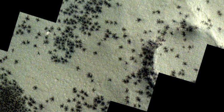 Mars zemininde örümceğe benzeyen madde toplulukları gözlemlendi