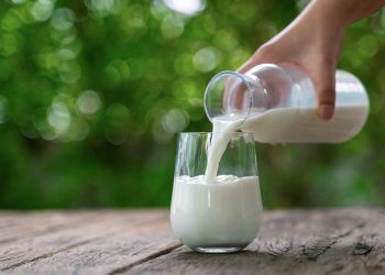 Pastörize sütte kuş gribi virüsü bulundu