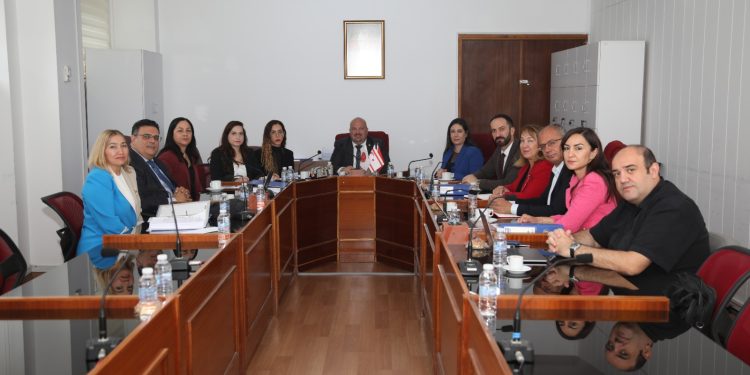 Yükseköğrenim kurumları ve YÖDAK’la ilgili Meclis araştırma komitesi YÖDAK Başkanı Hocanın’ı dinledi