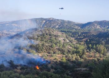 46. Güzelyurt Portakal Festivali sona erdi