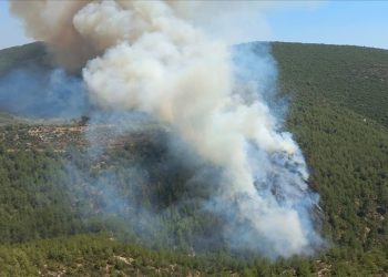 Bodrum’da orman yangını çıktı