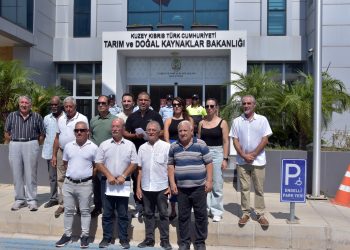 Çevre Platformu çam kese böceğiyle havadan biyolojik mücadele için harekete geçilmesini istedi