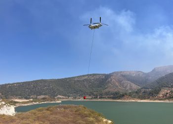 Muğla’nın Milas ilçesinde orman yangını çıktı