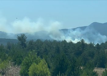 Bursa’da orman yangınına müdahale ediliyor