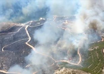 Çeşme’de orman yangını rüzgarın etkisiyle hızla yayılıyor… Bazı evler tahliye edildi