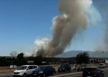 İzmir’de orman yangını: Adnan Menderes’te seferlerde aksama yaşanıyor