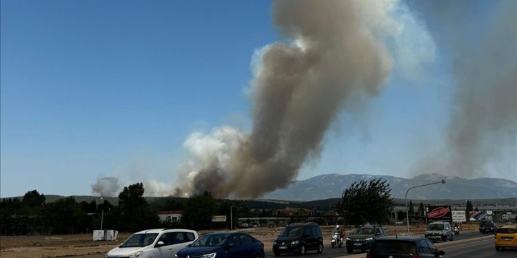 İzmir’de orman yangını: Adnan Menderes’te seferlerde aksama yaşanıyor