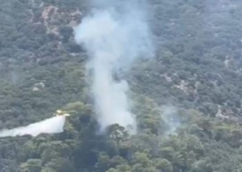 Muğla’nın Milas ve Ortaca ilçelerinde orman yangını