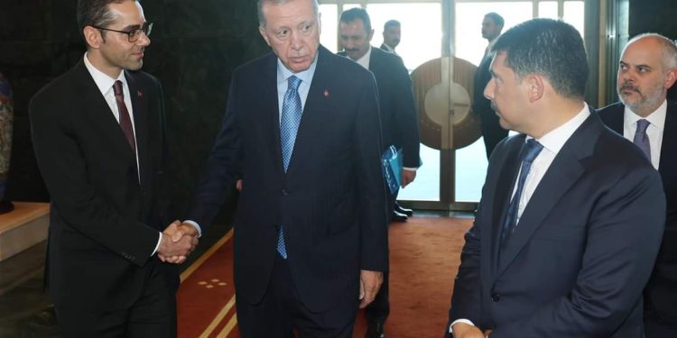 Lefkoşa Büyükelçiliği’ne atanan Serim, TC Cumhurbaşkanı Erdoğan’ı ziyaret etti