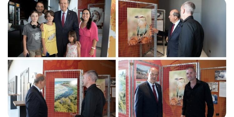 Cumhurbaşkanı Tatar, “Kıbrıs’ın Son Kartalı” adlı kısa belgesel film gösterisinde konuştu: “Kuşların korunup, türlerinin devam ettirilmesi çok önemli”