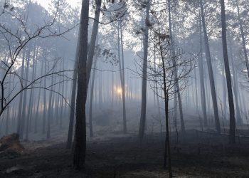 Yumaklı: “Muğla Ula ve Yatağan’daki yangınlar kontrol altına alındı”