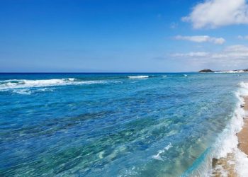 Alsancak’ta bir plajda kirlilik görüldü… Girne’de analiz yapılan diğer plajlar temiz
