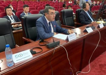 Dışişleri Bakanlığı Müsteşarı Lakadamyalı Kamerun’da İİT 50’nci Dışişleri Bakanları Konseyi Toplantısı’na katıldı