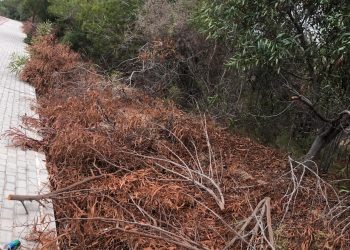 Her Daim Doğa Dostları’ndan çevre temizliği ve uyarılar