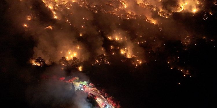 AFAD, 5 ildeki yangınlarda 3 bin 583 kişinin tahliye edildiğini bildirdi