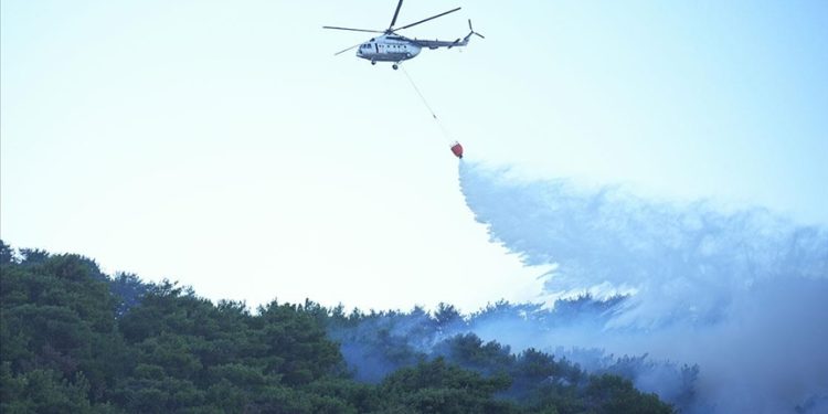 İzmir’deki orman yangınına havadan müdahaleye yeniden başlandı