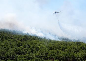 İzmir’in Urla ilçesinde çıkan orman yangını kontrol altında
