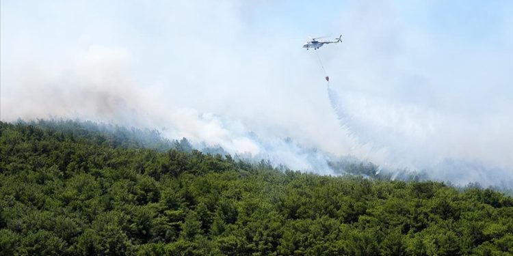 İzmir’in Urla ilçesinde çıkan orman yangını kontrol altında