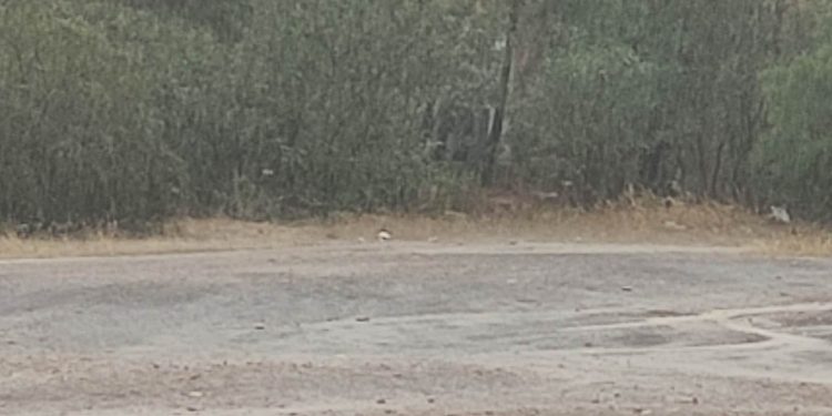 Bugünden itibaren üç gün boyunca yağmur bekleniyor