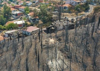 Kurum, orman yangınlarına ilişkin hasar tespit çalışmalarını açıkladı