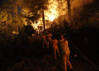 Muğla’da çıkan orman yangınına müdahale gece boyunca devam etti