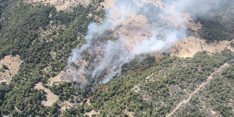 Antalya’nın Kaş ilçesinde orman yangını çıktı