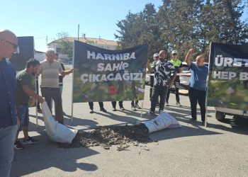 Harup üreticileri eyleme gitti
