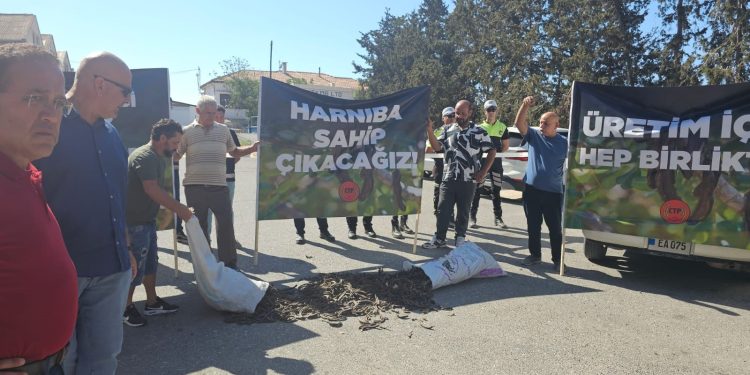Harup üreticileri eyleme gitti