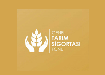 Temmuz ayına ait büyükbaş hayvanların düşük zararı ödendi