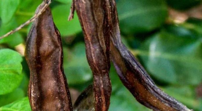 EZKOOP “harnup” gündemiyle toplantı düzenliyor