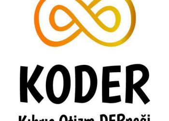 Otizm Derneği özel gereksinimli bireyler için yasal düzenleme ve denetim istedi