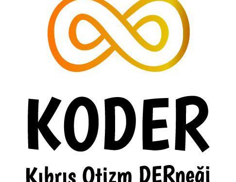 Otizm Derneği özel gereksinimli bireyler için yasal düzenleme ve denetim istedi