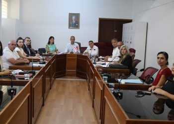 Cumhuriyet Meclisi, Sayıştay Komitesi toplandı