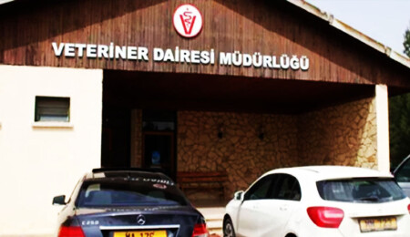 Veteriner Dairesi’nden hayvan kesimi ile ilgili uyarı