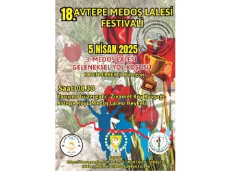 Avtepe Medoş Lalesi Festivali, 5 Nisan Cumartesi günü yapılacak