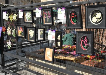 20.⁠ ⁠Kıbrıs İpek Koza Festivali sürüyor…