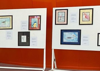 “Kıbrıs’taki Kuşlar” resim sergisi Ercan Havalimanı’nda açıldı