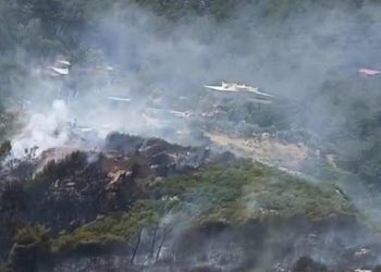 İzmir’de orman yangını kontrol altına alındı