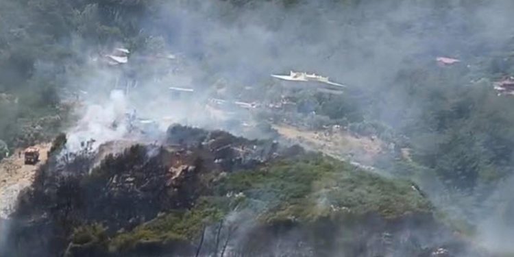 İzmir’de orman yangını kontrol altına alındı