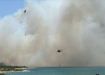 İzmir’de çıkan orman yangınına müdahale ediliyor