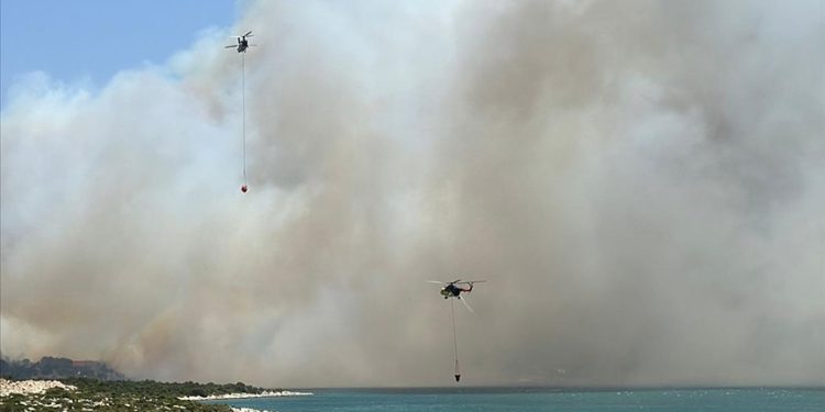 İzmir’de çıkan orman yangınına müdahale ediliyor