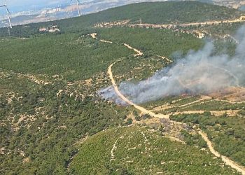 İzmir’de çıkan orman yangınına müdahale ediliyor