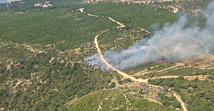 İzmir’de çıkan orman yangınına müdahale ediliyor