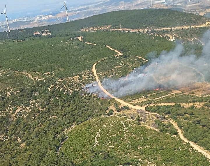İzmir’de çıkan orman yangınına müdahale ediliyor