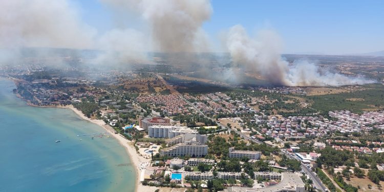 Aydın’ın Didim ilçesinde makilik alanda yangın