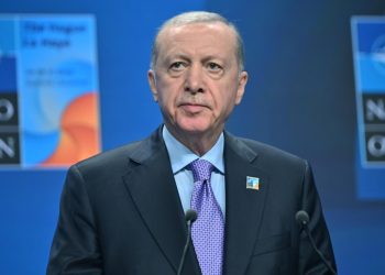 Erdoğan: Uluslararası kurumlar, İsrail’i durdumakta yetersiz kalıyor